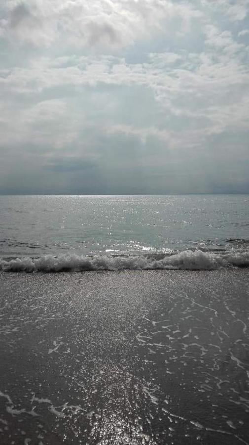 Penbryn Holidays, Barmouth Εξωτερικό φωτογραφία